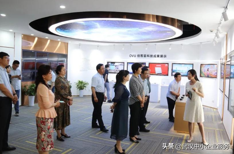 武汉创业项目合伙人名单,武汉十大创业导师名单公布