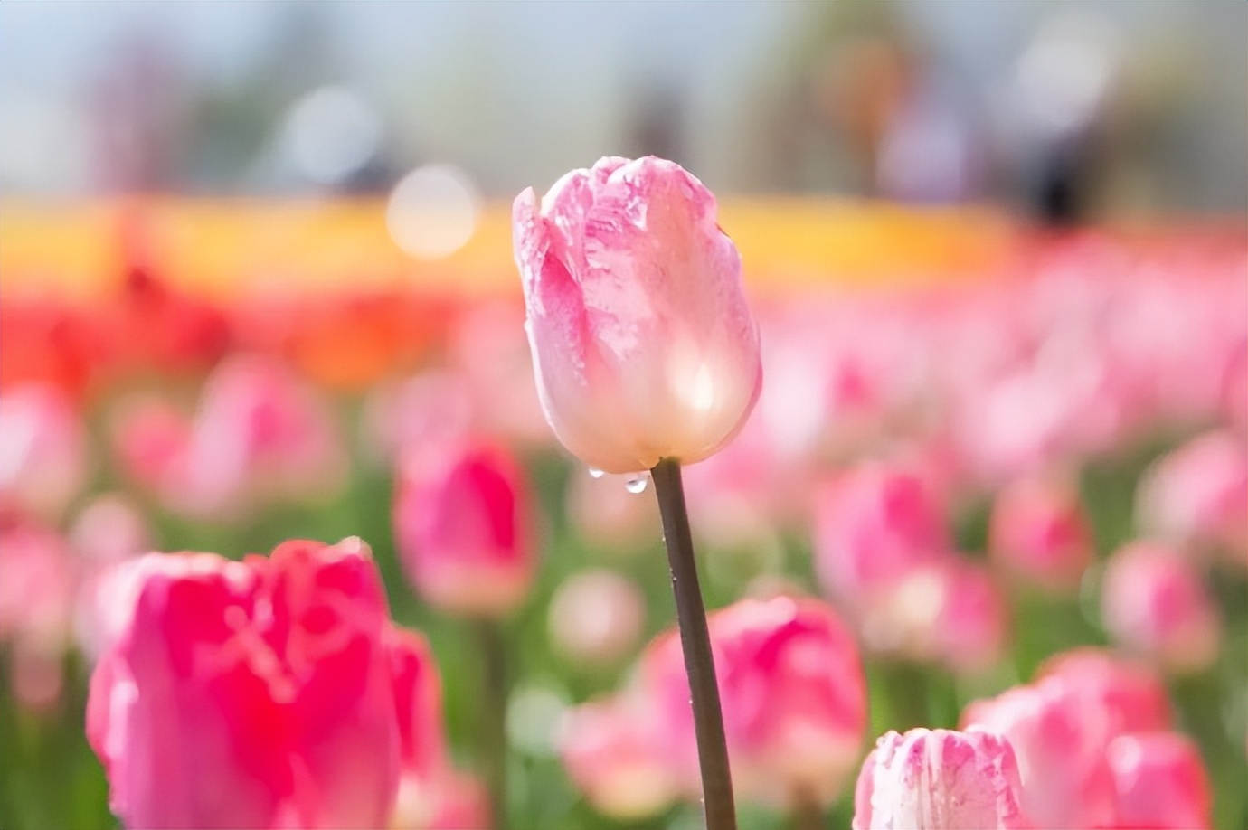 女人这么称呼你说明是看上你了,女人这样称呼你说明有点喜欢你