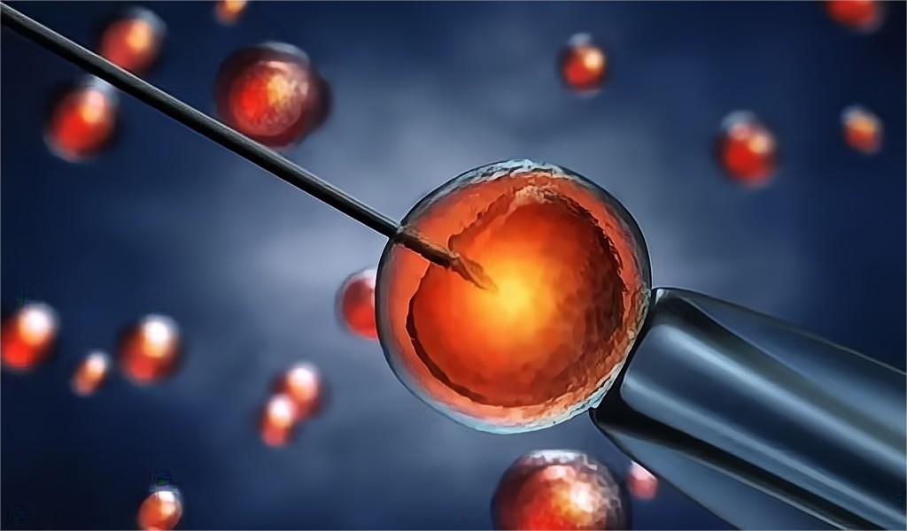 被小臂长的针刺穿阴道、卵巢，只为一部苹果手机，爱心捐卵何时休