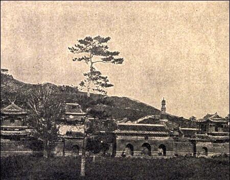 日军日记:*安妇慰**不服从管教,我很愤怒,用*刀刺**插入她的*体下**