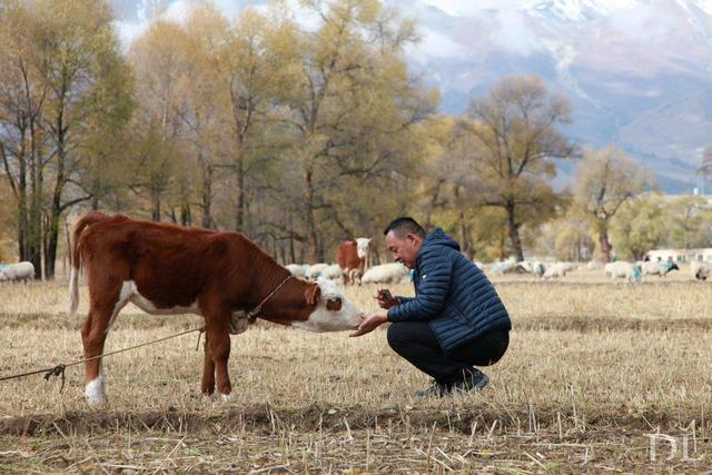 胖东来的年销总额,胖东来从哪里起家的