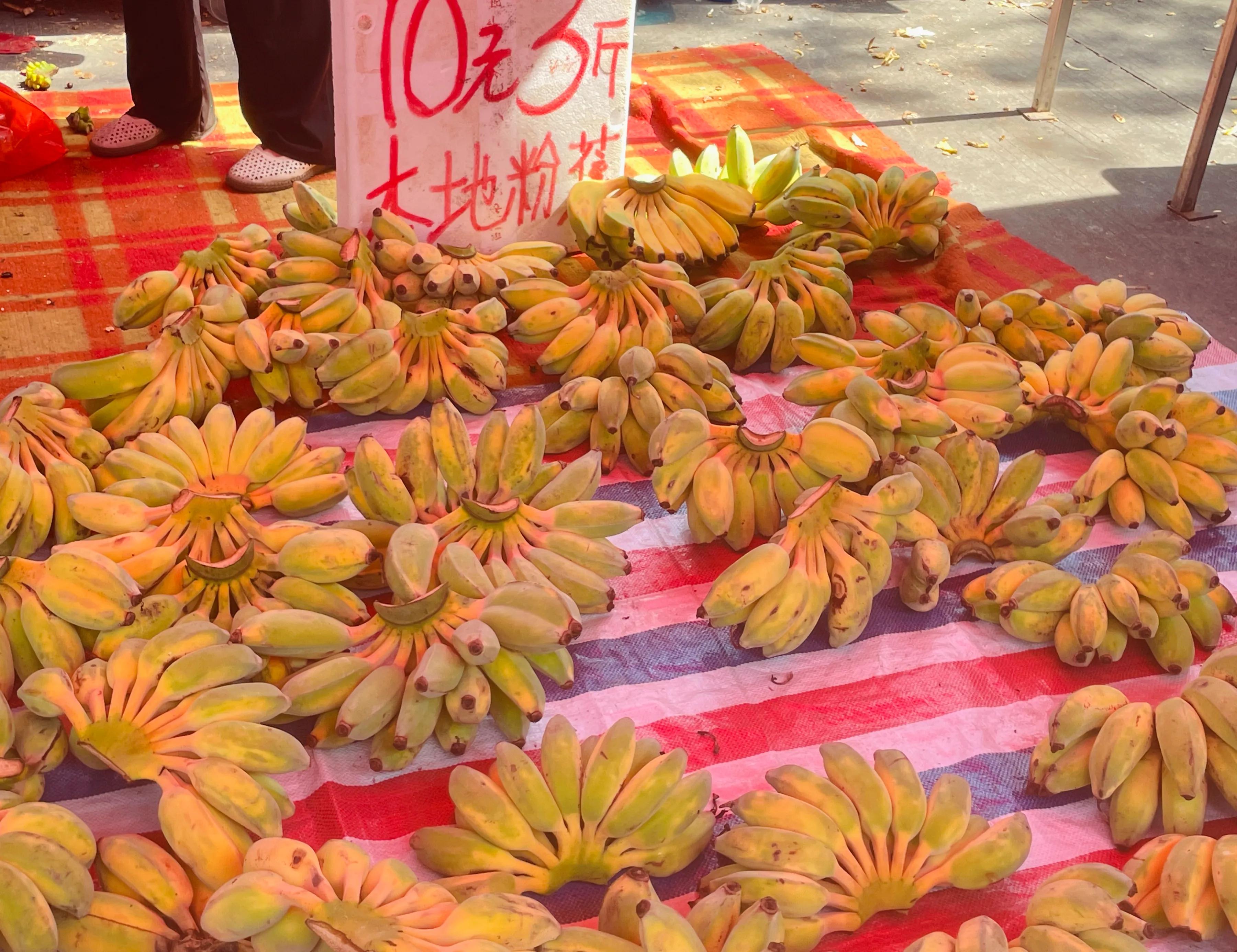 顺德三洲市场蔬菜,顺德伦教三洲市场圩日