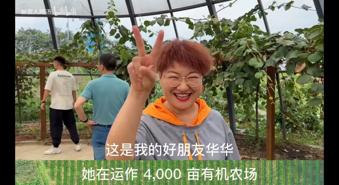 如何利用互联网+打造现代农业,现代化农业种植新模式