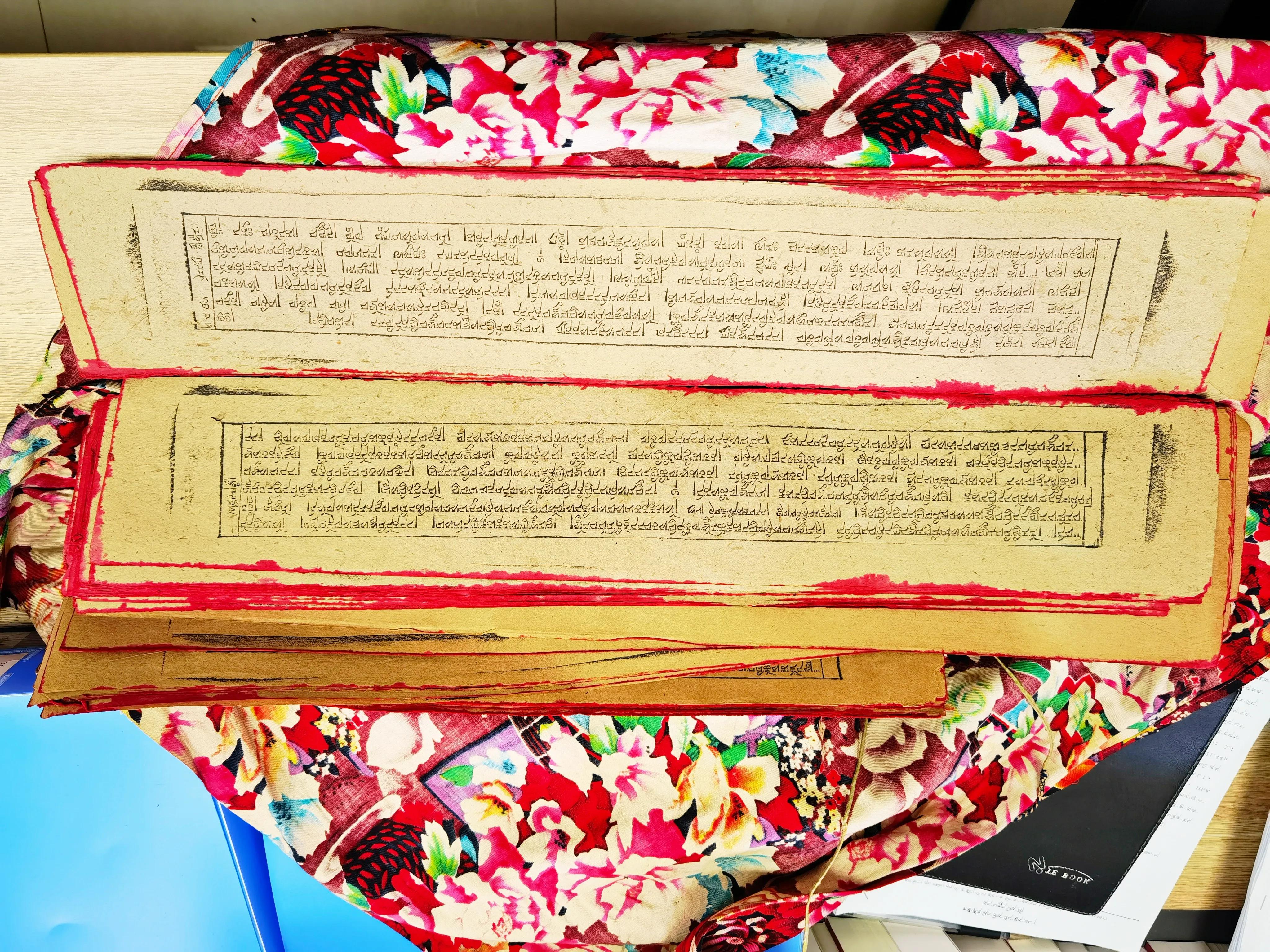 青海藏医药文化展示中心,青海藏医药文化博物馆