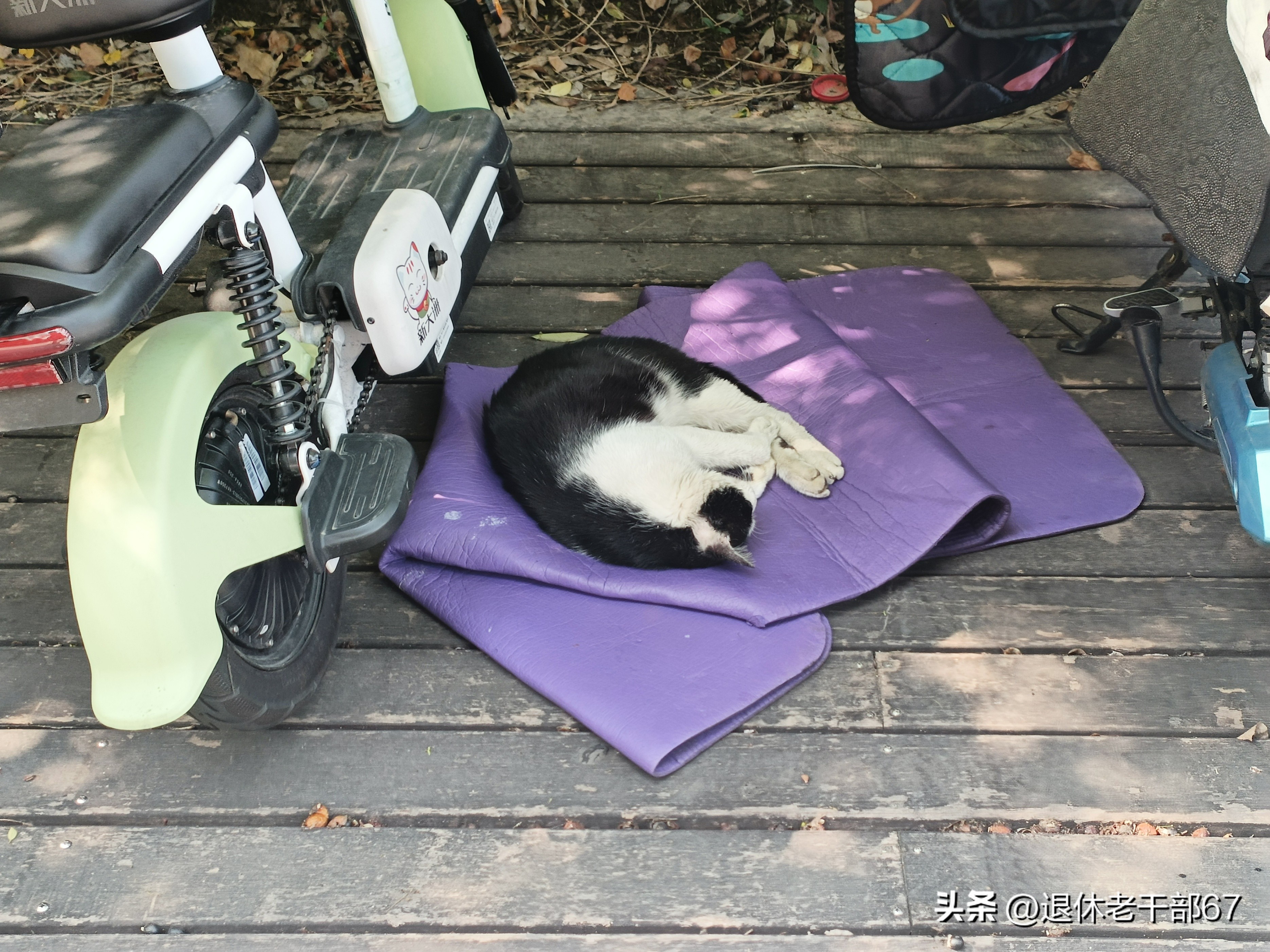 头条创作如何赚钱,如何创作头条赚钱