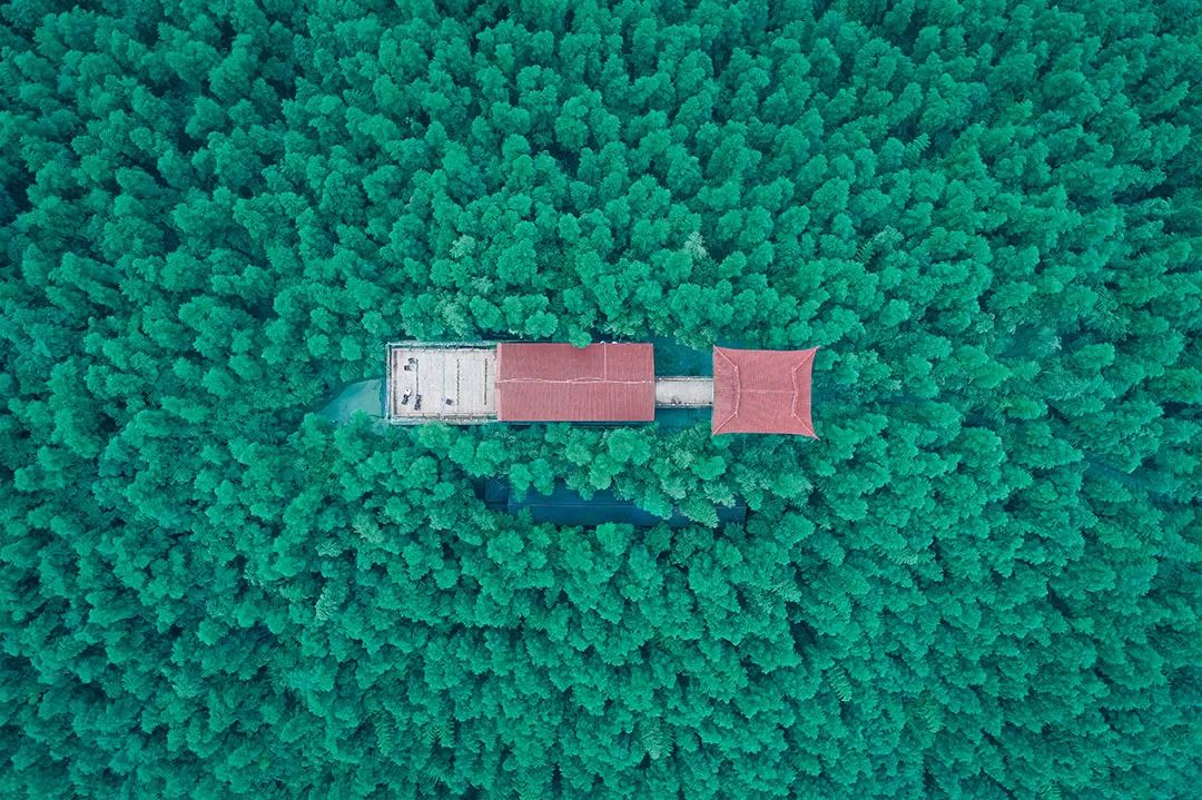 宝藏文创层出不穷，哪款最值得“剁手”？