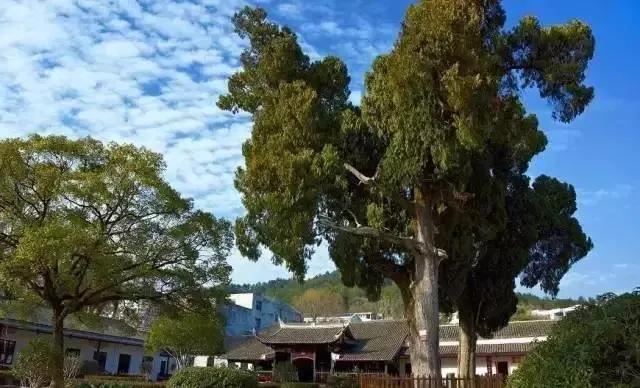 长汀古城最好的地方,长汀县红色小上海