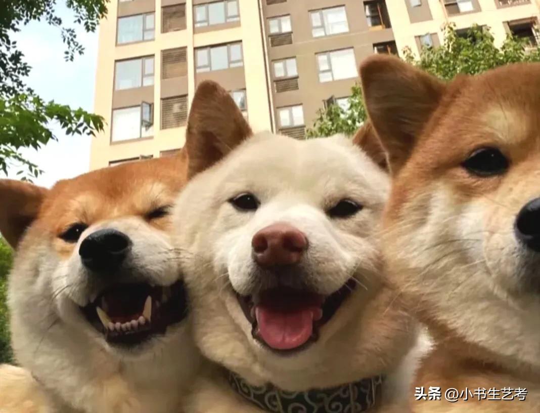 副业赚钱方法汇总图文,副业赚钱3万的方法