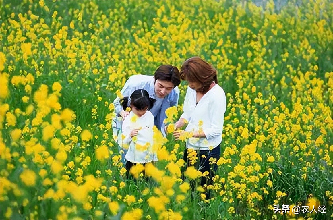 清明节的风俗习惯100个字,清明节中华传统习俗大全