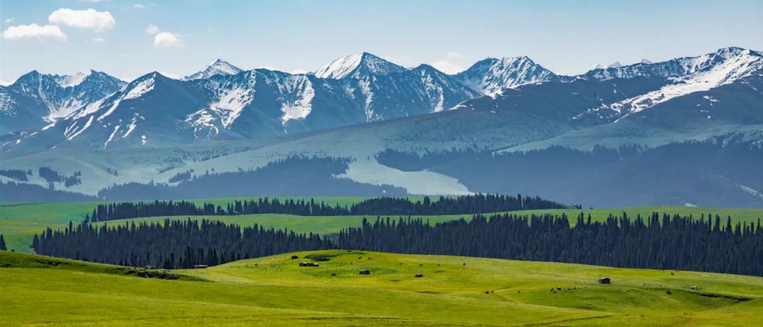 俄罗斯russia中文,russia为什么叫俄罗斯