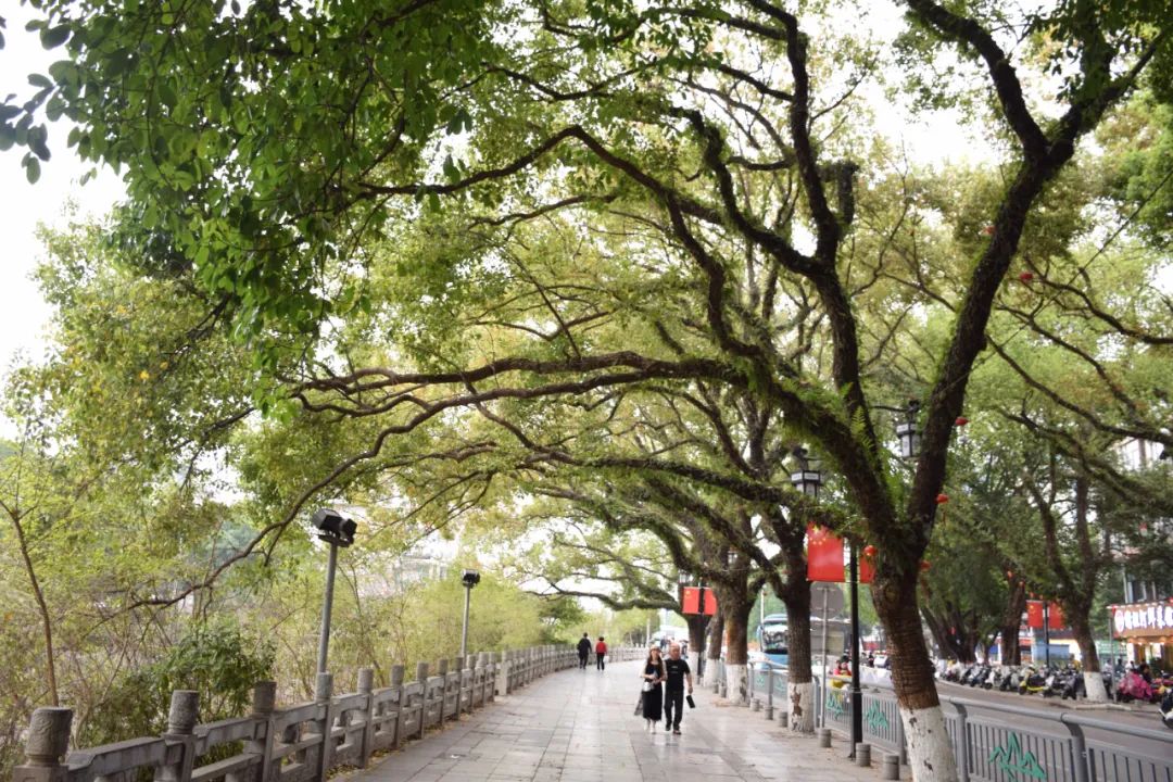 打飞的都要去坐的动车,怎么每站都这么好看