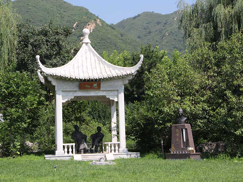 买墓地有什么讲究和忌讳,买墓地有啥讲究吗