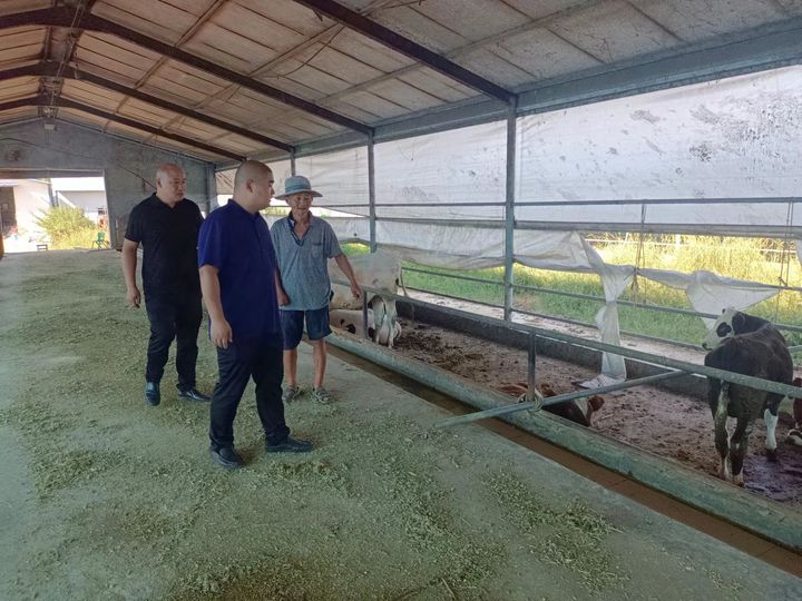 新手养羊这五点一定要了解,养羊的正确方法和感受