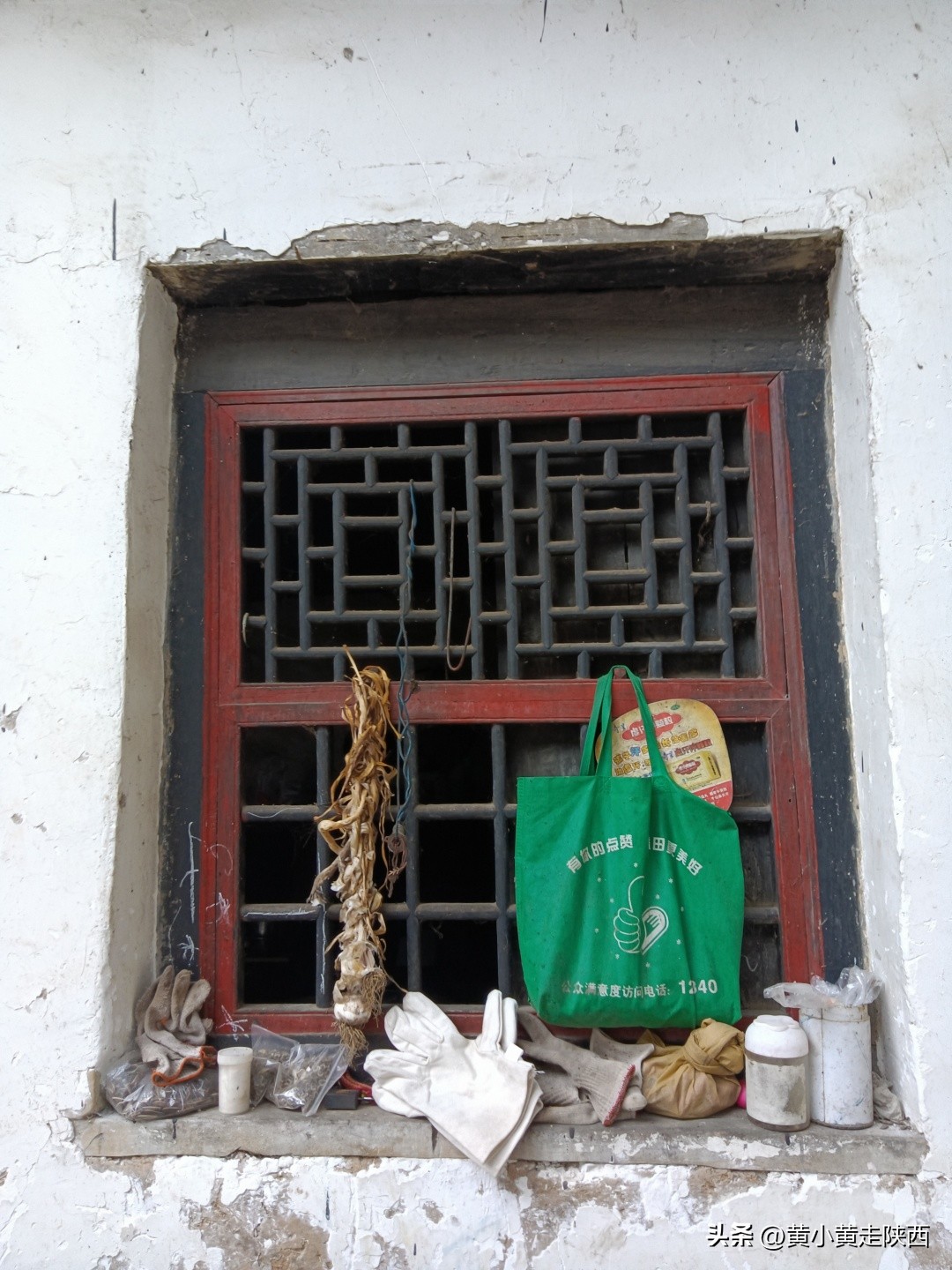 秦岭哪儿还有七叶一枝花,美到心动