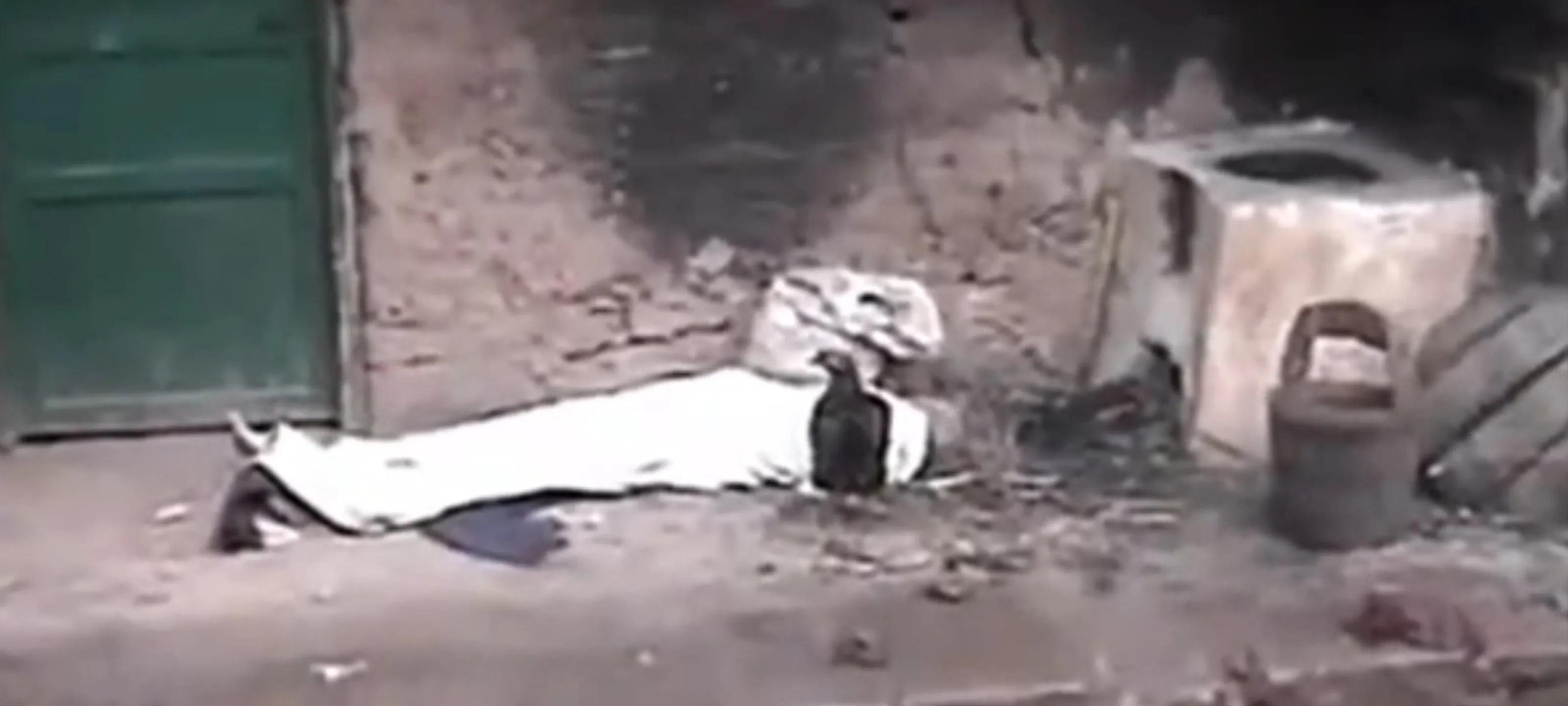 杀害弟媳的最后结果,杀害弟媳的下场