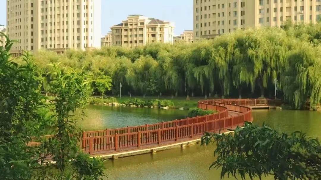 大连外国语大学：毕业生都去哪了？有没有非外语类本科专业？