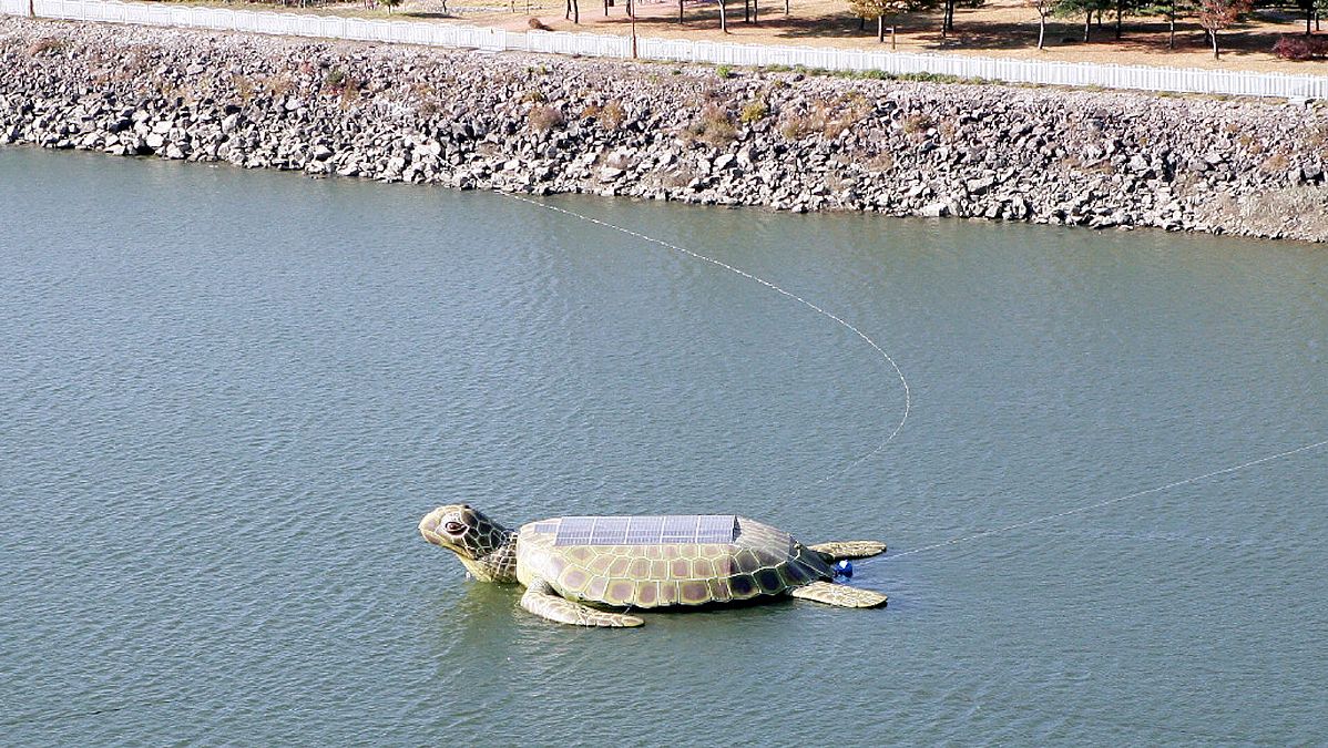 食谷者愚食肉者鄙食气者寿,食肉者勇食谷者智不食者寿