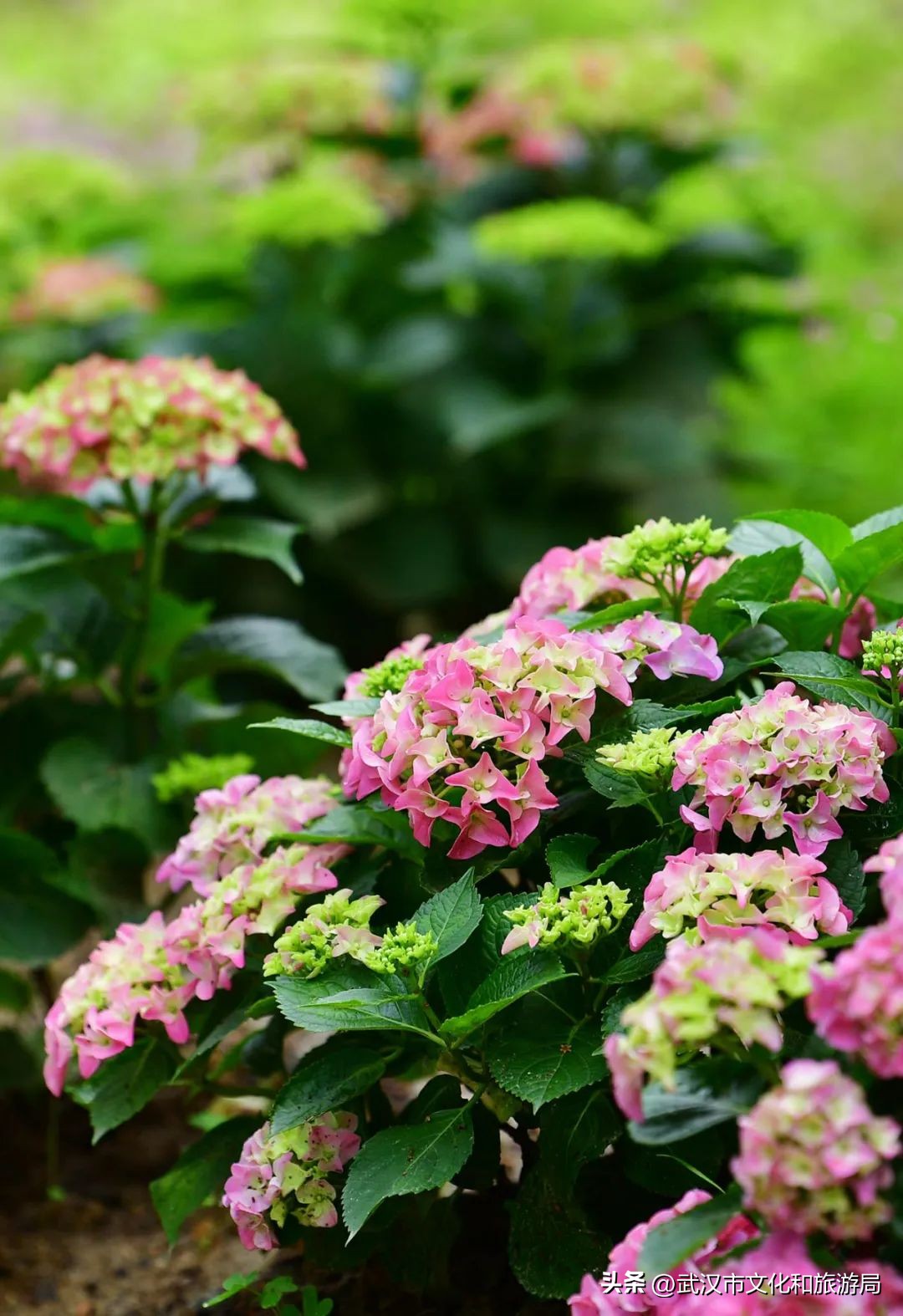 值得去无数次的地方,去了风景很美的地方