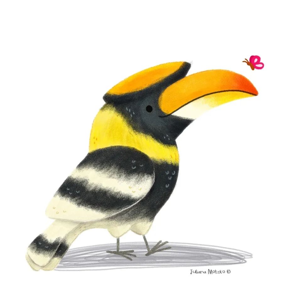 鸟类插画大全,鸟类插画艺术欣赏