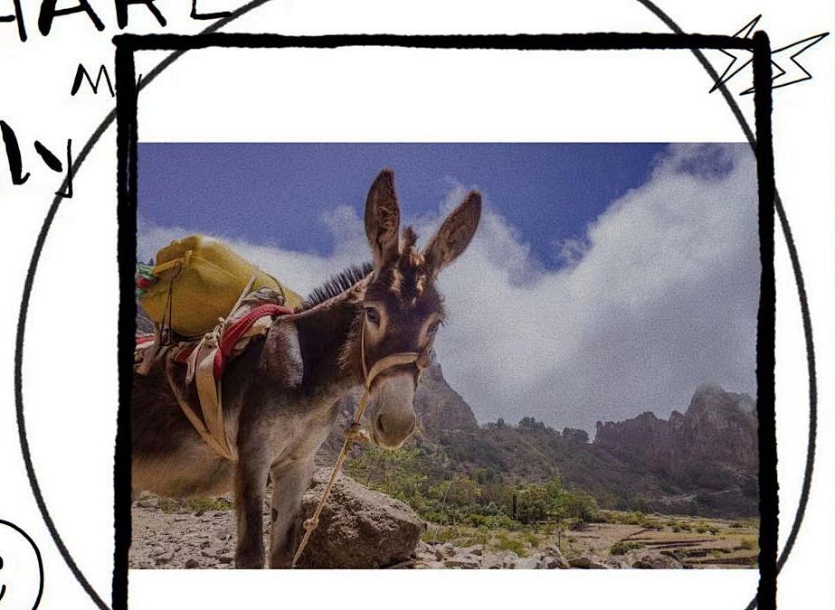 发动机没力的原因有哪些,发动机没力怎么造成的