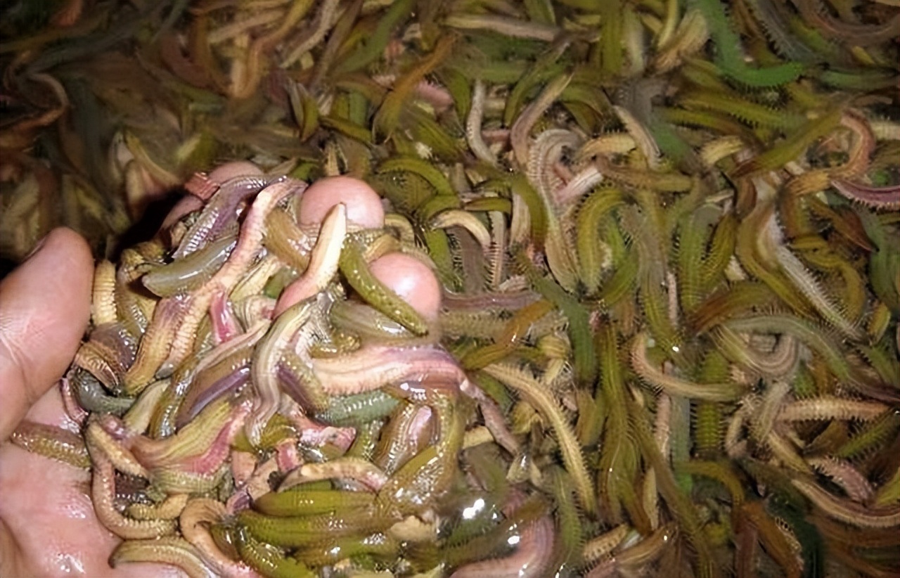 福建重口味美食,福建人最爱吃的特色美食