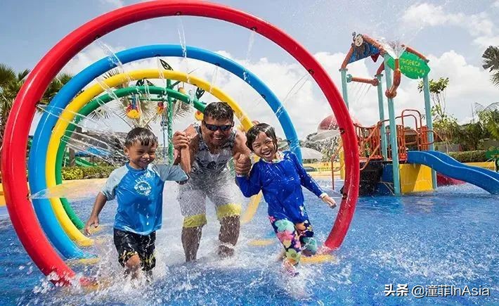 新加坡樟宜机场城市观光免费巴士,新加坡环线巴士