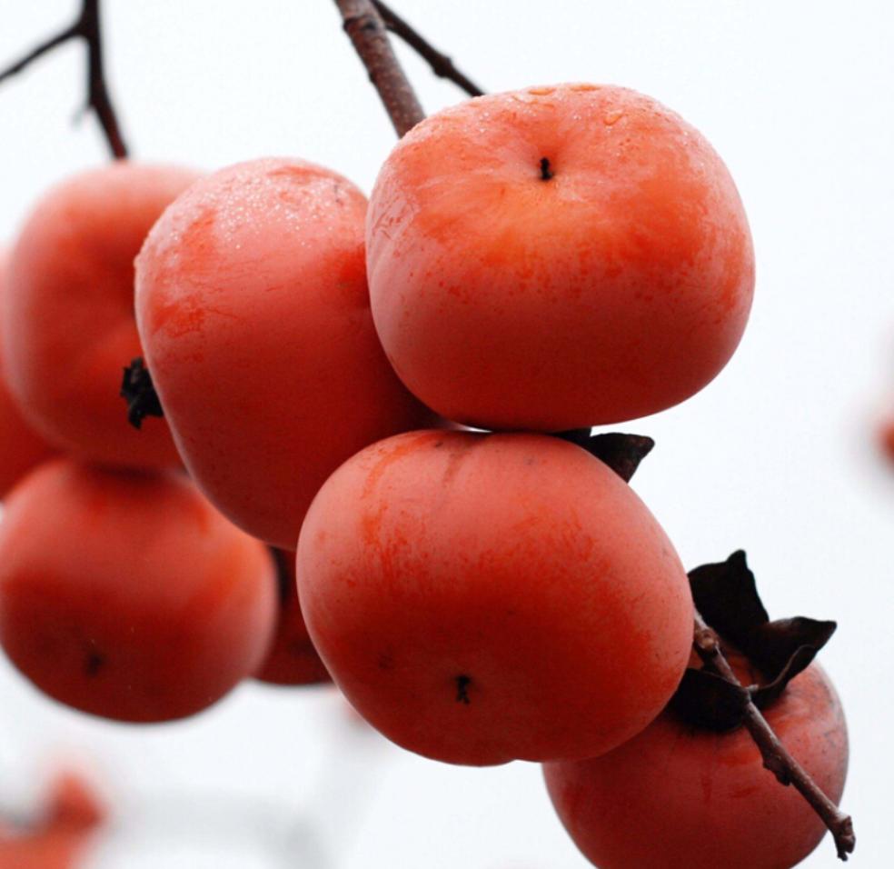 三岁孩童吃了一种水果中毒身亡,孩子吃了这种水果不幸离世