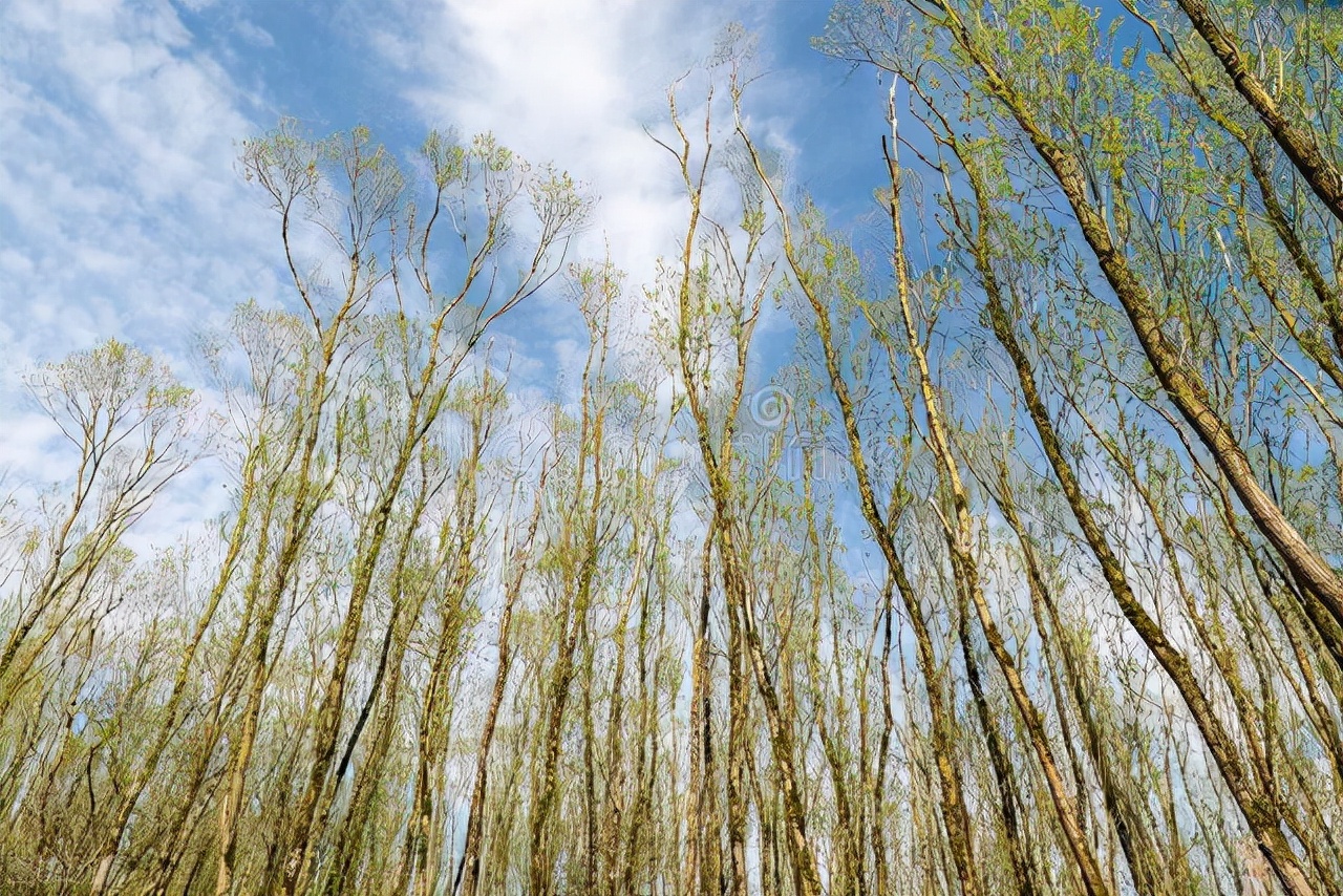 读了书才知道的事,读了书才明白的道理