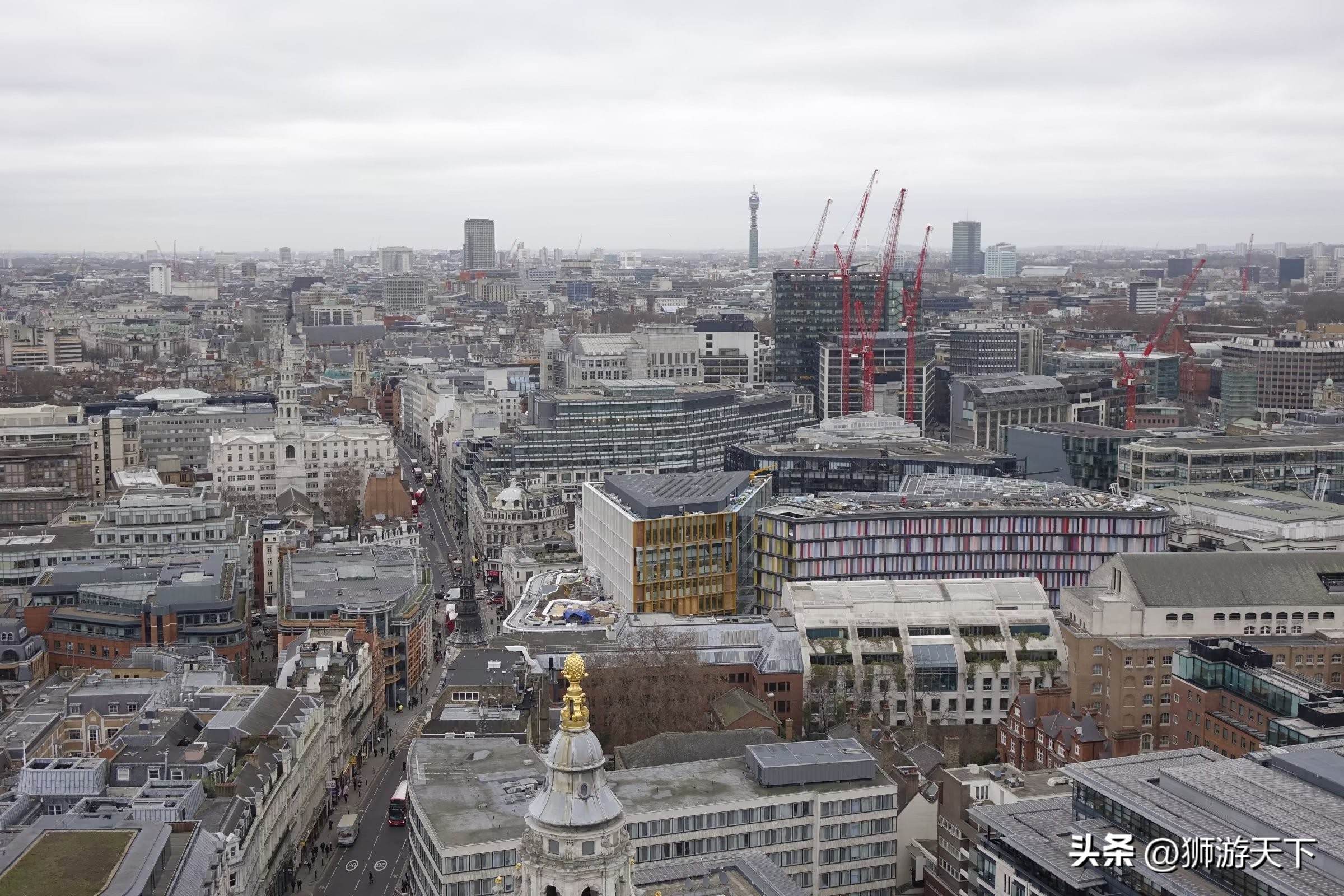 英国陪读能做什么,英国陪读