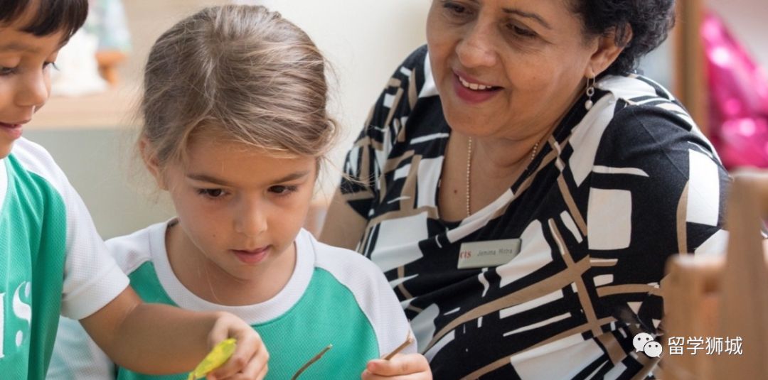 新加坡德国国际学校,加拿大ib国际学校