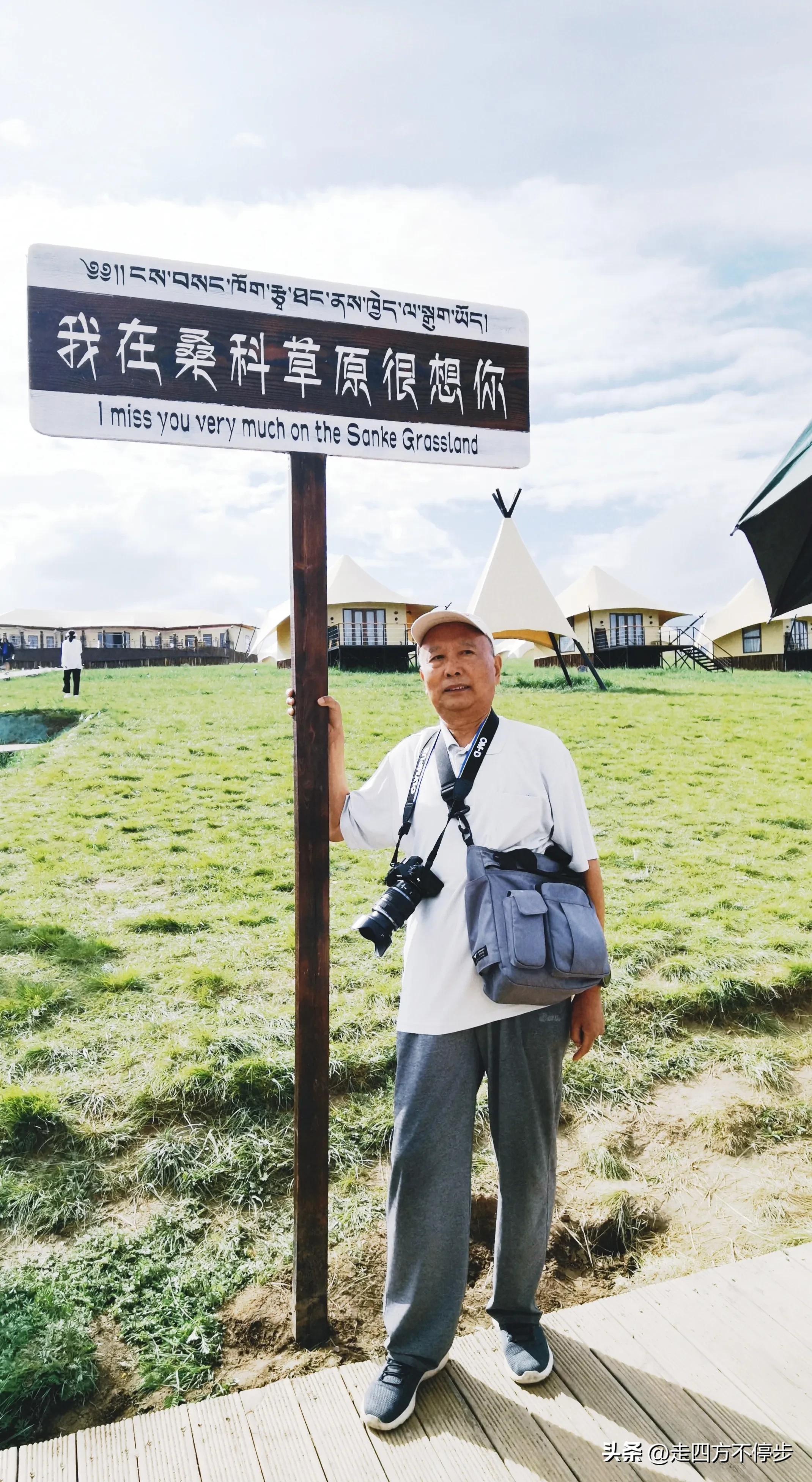 甘南自驾游桑科草原下一站,甘南桑科草原高清精美视频