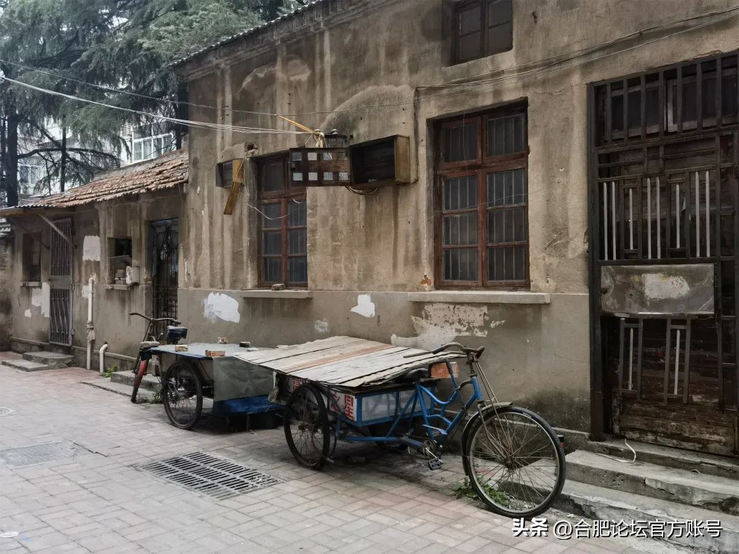 合肥杏花菜市场老样子,合肥杏花菜市