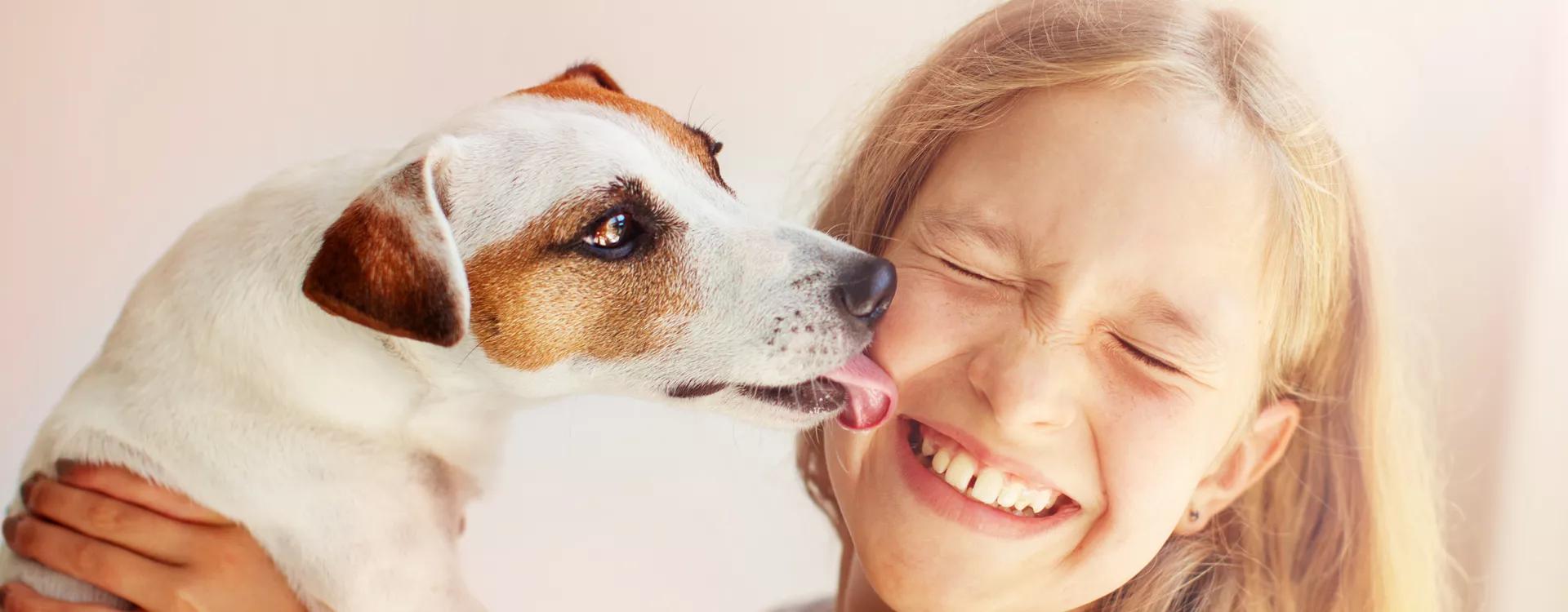 宠物沐浴露和人的有区别吗,宠物沐浴露越香越好吗