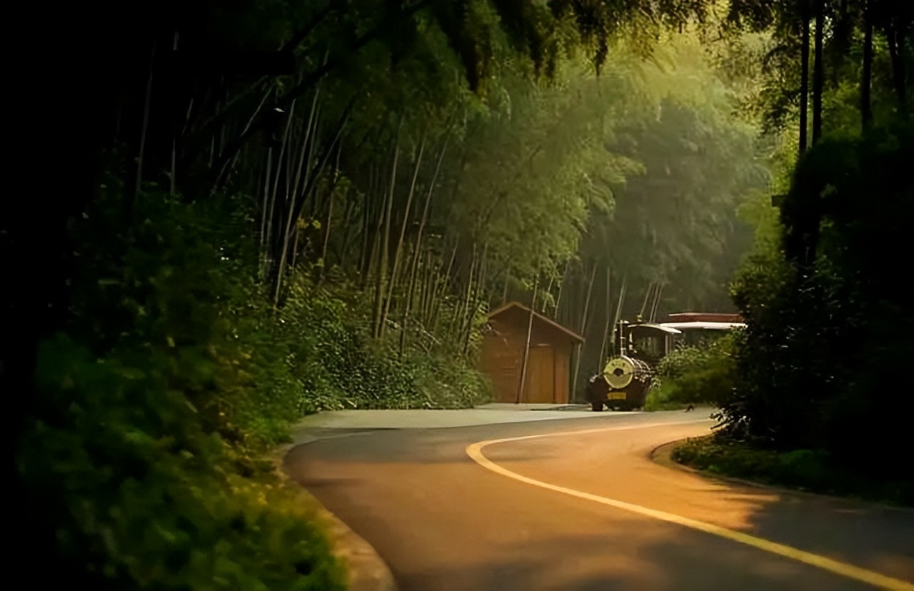 南山竹海御水温泉竹溪谷酒店,御水温泉竹溪谷酒店赏竹