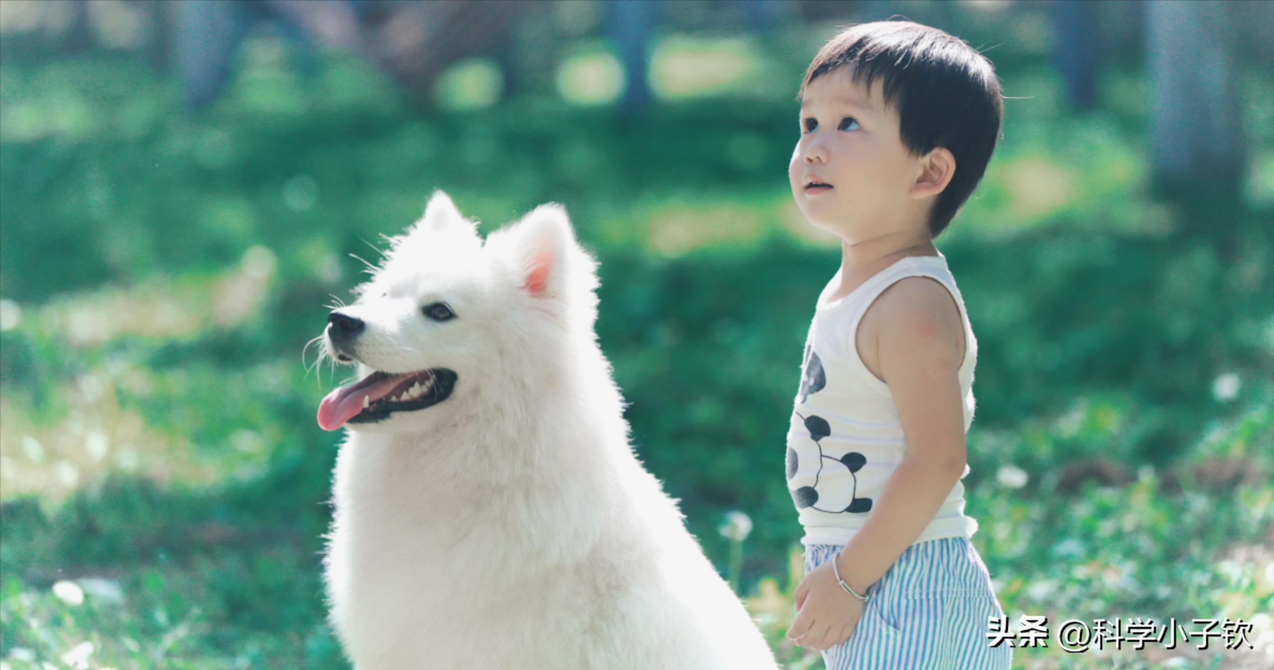 为什么我们都有天赋,怎么样才能发现孩子的天赋