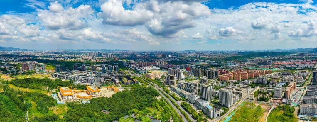 发布172个“跨域通办”高频事项，南京都市圈城际政务服务联盟在雨花台区成立