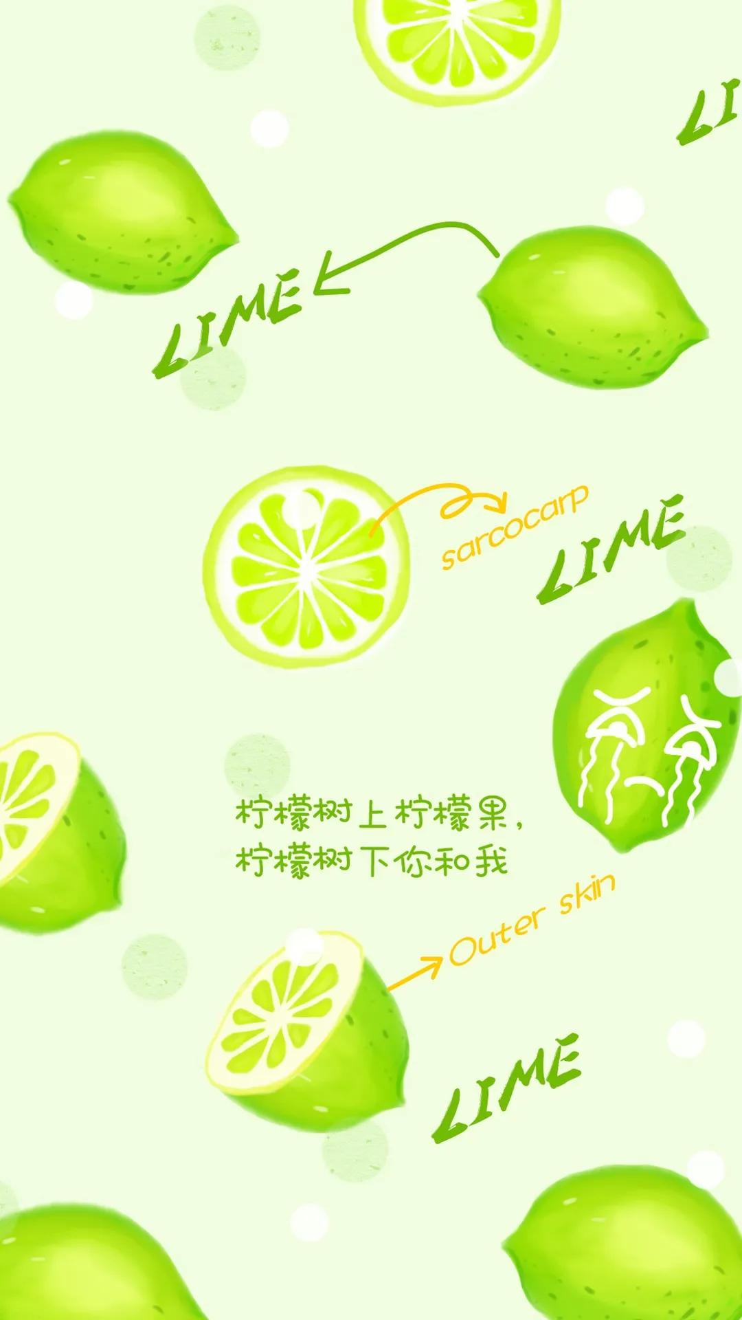 姘翠腑鏌犳澹佺焊,鏌犳澹佺焊澶村儚