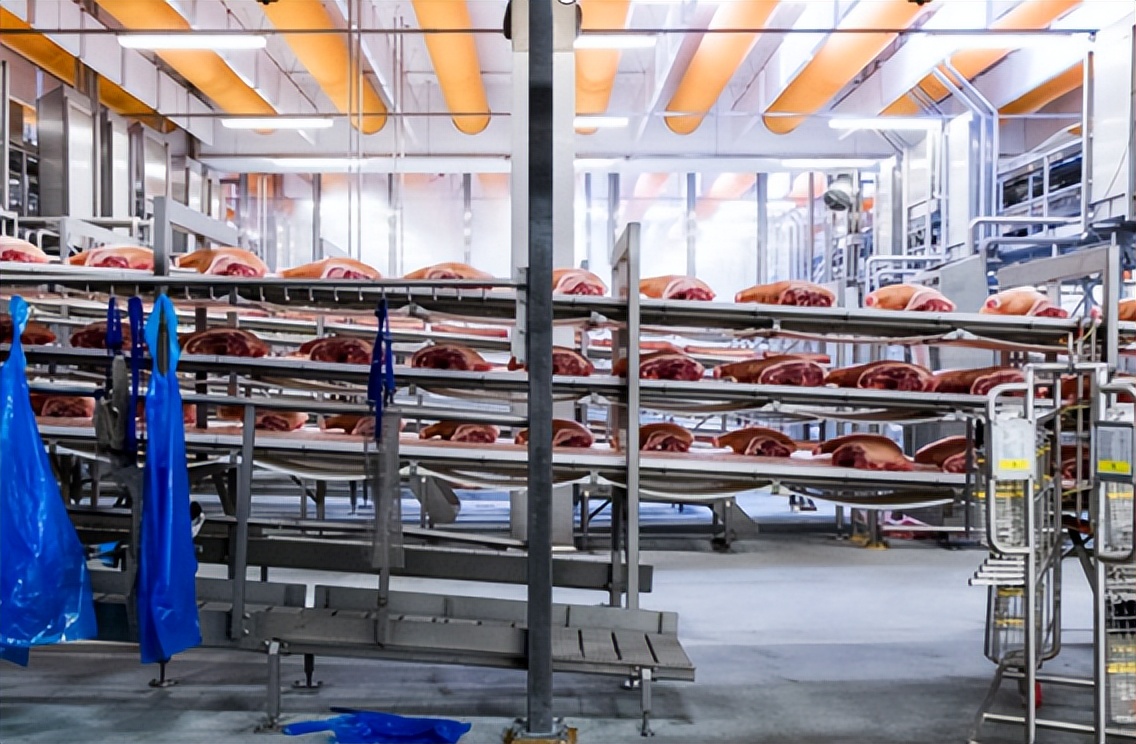 丹麦养猪为什么厉害,为什么丹麦是养猪大国之一