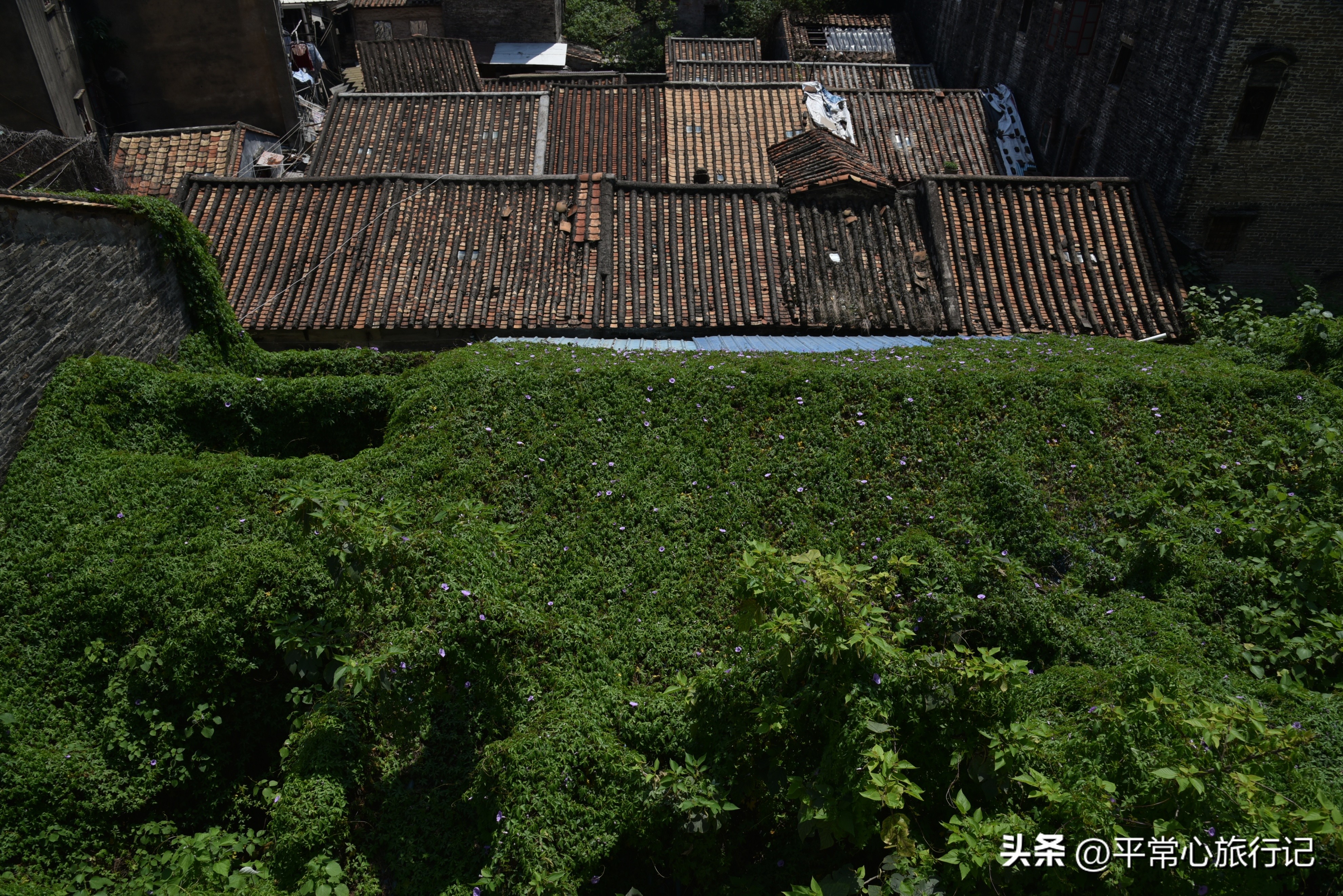 狂飙江门取景地打卡旧厂街,江门三十三墟街景点介绍