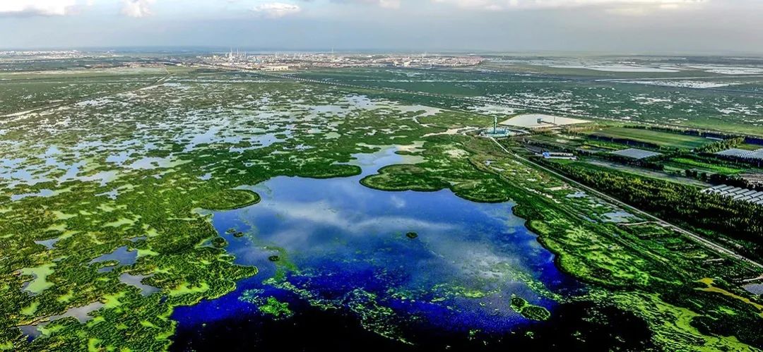 湿地可以开发什么旅游项目,黑龙江旅游必去十大湿地排名