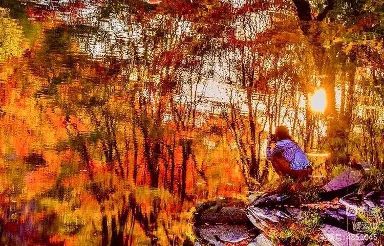 画意风光,画意风光摄影