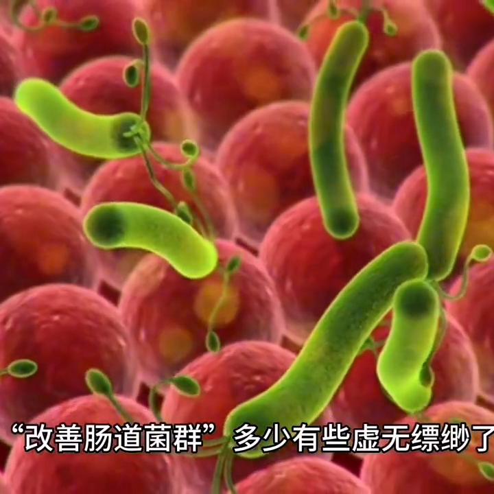 酸奶减脂期能喝哪些酸奶,减脂期喝无糖酸奶跟有糖酸奶