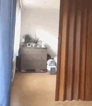 开幼儿园赔钱怎么经营,开幼儿园的十大忠告