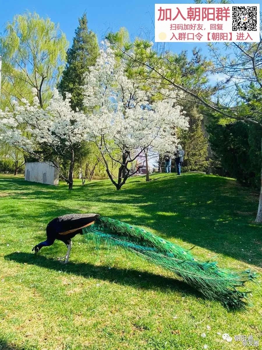 紫玉山庄最新消息今天,紫玉山庄最新动态