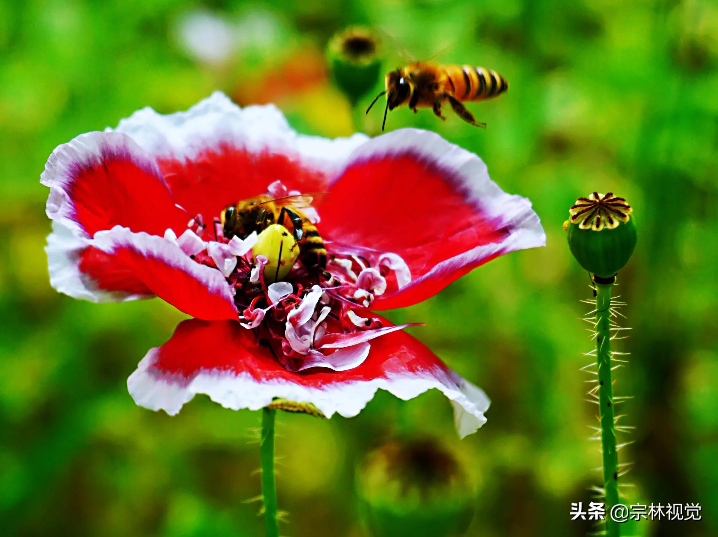 快40岁了留住岁月痕迹,留住岁月芳华