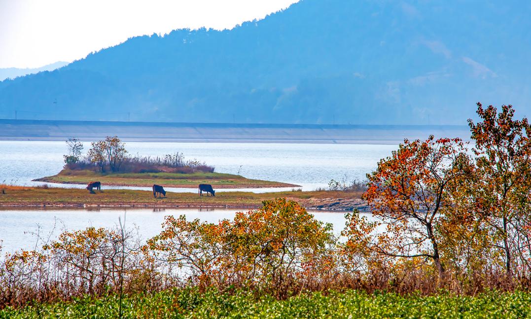 摄影戴斗笠草帽的照片,素人渔夫摄影作品欣赏