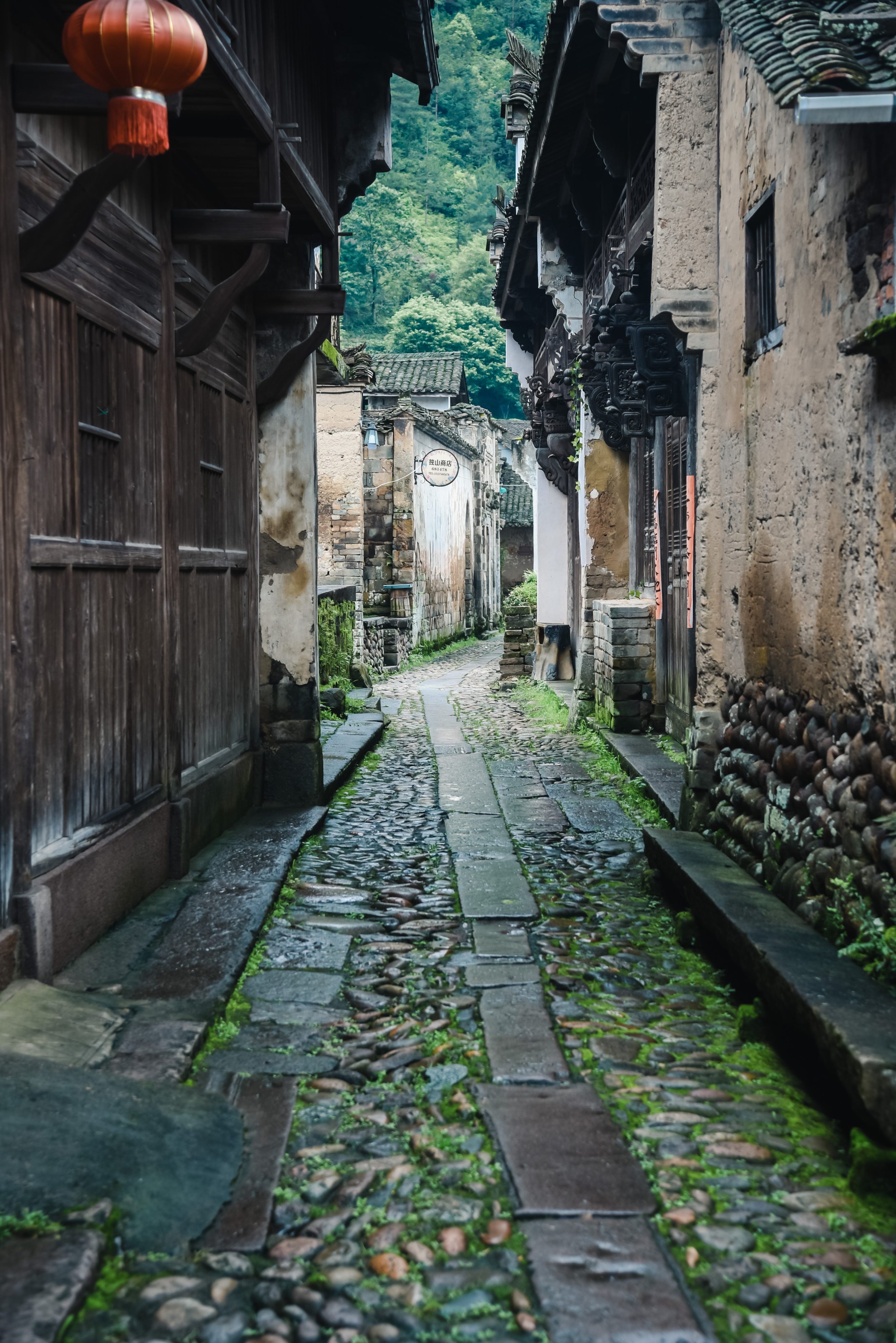 丽水遂昌旅游攻略一天游 (丽水遂昌被称旅游胜地)