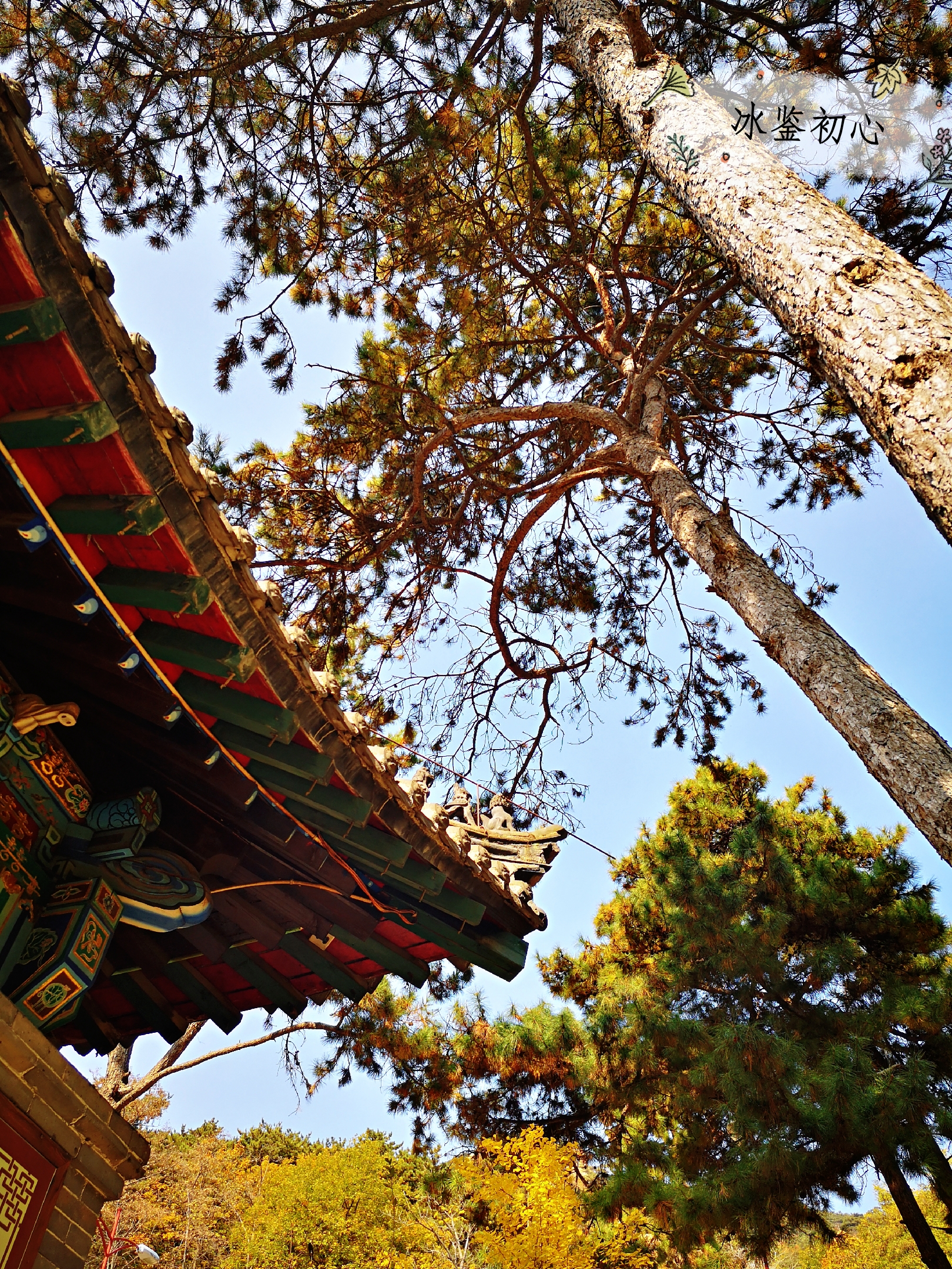 辽东第一山,辽东第一山是什么山