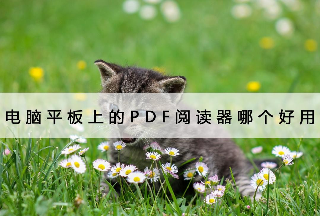 平板电脑pdf阅读软件哪个好,平板pdf阅读器哪个好用