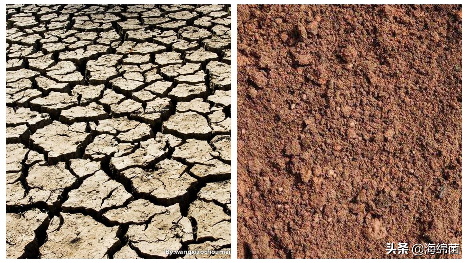 每天都可以用的护肤方法,懒人短期见效快的护肤